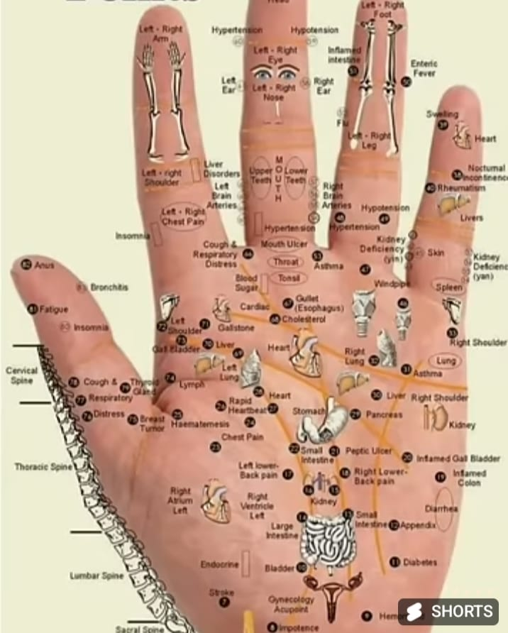 Sujok hand reference chart